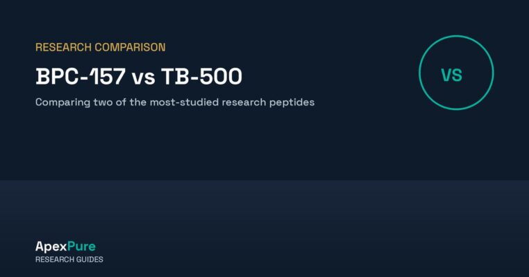 bpc157 vs tb500-featured