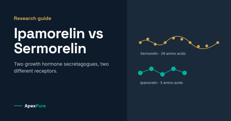 Ipamorelin vs Sermorelin research guide comparing peptide structure